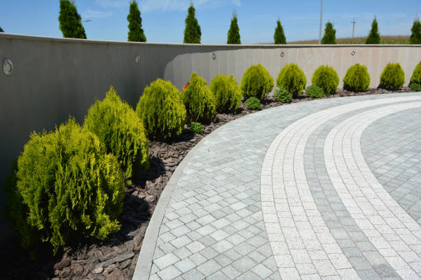 Best Driveway Paving Contractor  in Lakewood, CA